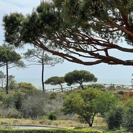 Praia Da Falesia Alfa Mar Albufeira Olhos de Agua  Exterior foto